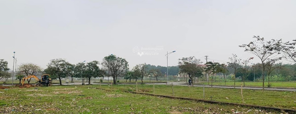 Giá bán đề xuất 850 triệu, Bán đất diện tích rất rộng 85m2 vị trí đặt nằm trên Hưng Hóa, Tam Nông thuận tiện di chuyển-02