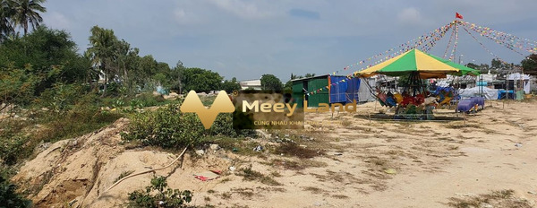 Giá thực tế 30 tỷ, bán đất diện tích tổng 10651 m2 mặt tiền tọa lạc ngay ở Lê Minh Công, Phước Lộc-02