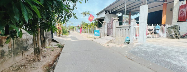 Mua bán đất huyện Quảng Điền tỉnh Thừa Thiên Huế giá 275 triệu-03