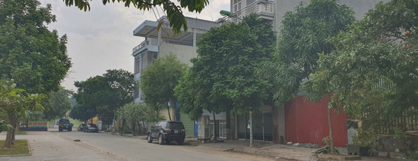 Bán đất Sân Đá, Chùa Hà Tiên, Vĩnh Yên, Vĩnh Phúc-03
