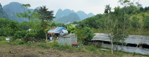 Lương Sơn, Hòa Bình bán đất diện tích chuẩn 31000m2-02