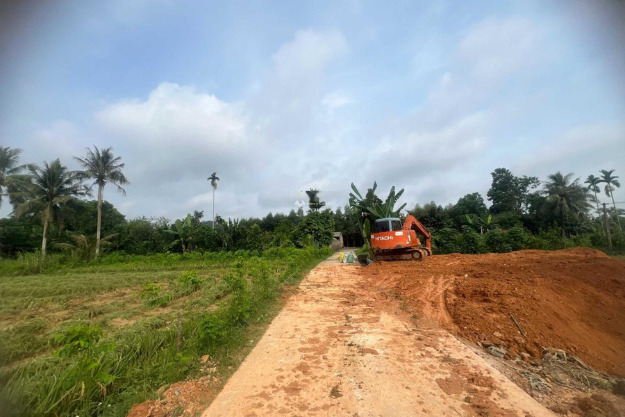 Cắt lỗ lô đất cuối cùng của nhà em trong KCN 600ha tại Lam Sơn Sao Vàng sân bay TH DT 140m2, 280tr -01