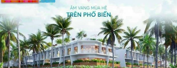 Hàm Thuận Nam, Bình Thuận, bán biệt thự, bán ngay với giá rẻ 6 tỷ diện tích rộng 333m2, tổng quan trong ngôi nhà có 4 PN cảm ơn đã xem tin.-02