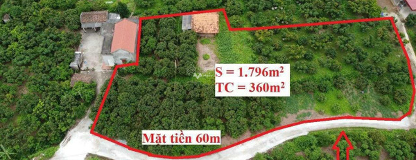 Lục Ngạn, Bắc Giang 950 triệu bán đất có diện tích thực 1796m2-03