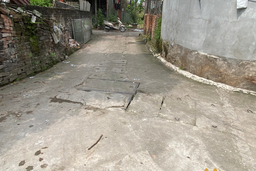 Bán nhanh 57m2 đất đường ô tô trong đê Đồng Mai - cực đẹp-01