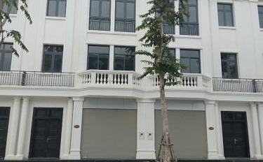 Bán nhà vị trí mặt tiền tọa lạc ngay trên Đông Hương, Thanh Hóa giá bán cực rẻ từ 4.5 tỷ diện tích rộng 251 m2 trong căn nhà này có 5 phòng ngủ-02