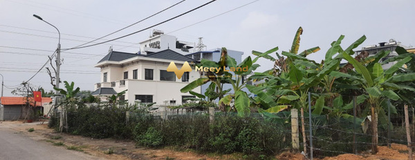 Bán đất biệt thự 2 mặt tiền diện tích 395m2 khu dân cư Minh Thanh, Tân Hà-03