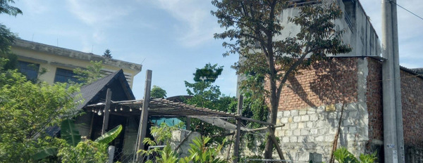 Bán căn nhà vị trí mặt tiền ngay ở Phạm Hùng, Hòa Nhơn diện tích chuẩn 130.4m2 vui lòng liên hệ để xem trực tiếp-02