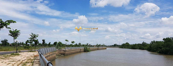 Bán đất xã Long Hưng, Biên Hòa, diện tích 100m2, giá 2,95 tỷ-03