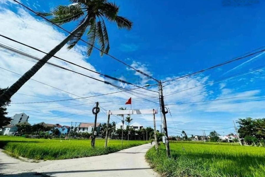 8 tỷ bán đất có diện tích tổng là 320m2 vị trí phát triển Nguyễn Trãi, Quảng Nam-01