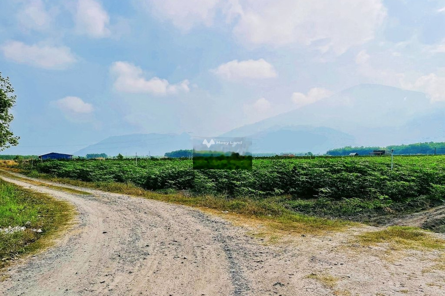 Giá hữu nghị 720 triệu bán đất diện tích là 330m2 vị trí mặt tiền ngay tại Ninh Sơn, Tây Ninh-01