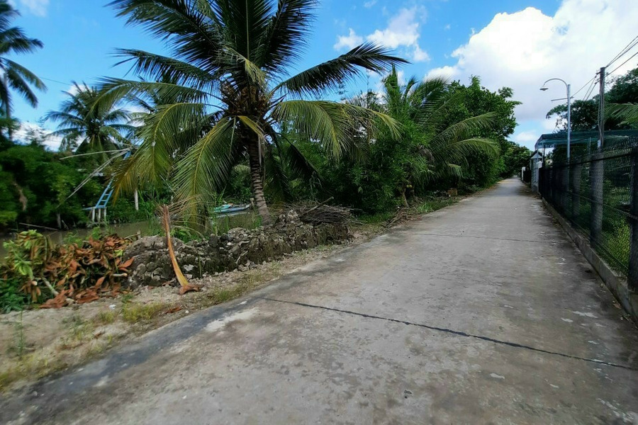 Bán đất chạy dịch: 10,400m2 tại xã Trường Xuân B, huyện Thới Lai, thành phố Cần Thơ-01