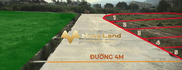 Bán mảnh đất, giá bán vô cùng rẻ 290 triệu có diện tích chung 95 m2-03