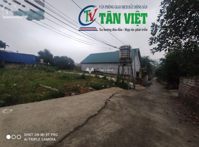 Phù Ninh, Hải Phòng bán đất giá siêu mềm chỉ 550 triệu tổng diện tích 66m2-01