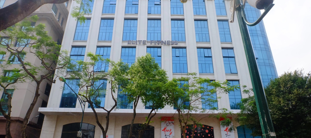 Bán toà nhà văn phòng đẳng cấp mặt phố Nguyễn Khánh Toàn, 305m2, mặt tiền rộng 17m