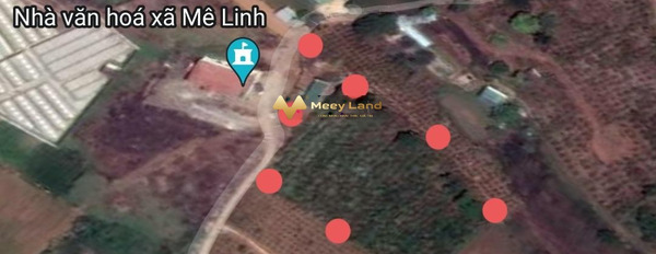 Bán đất 4000m2 vị trí mặt tiền tọa lạc ngay trên Mê Linh, Lâm Đồng-03