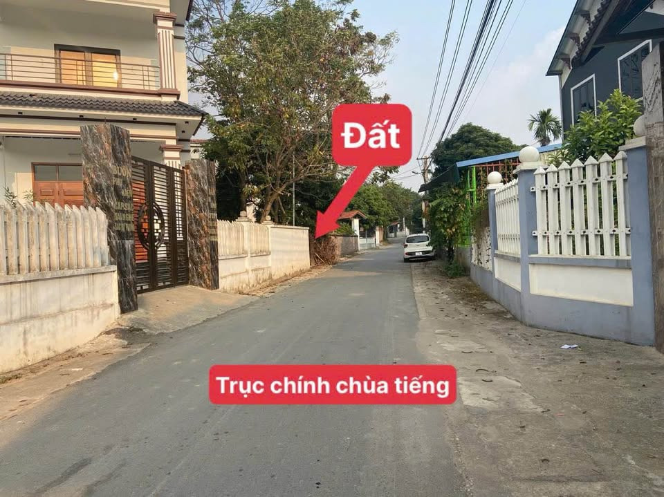 Bán đất thành phố Vĩnh Yên tỉnh Vĩnh Phúc giá 100.0 triệu-0