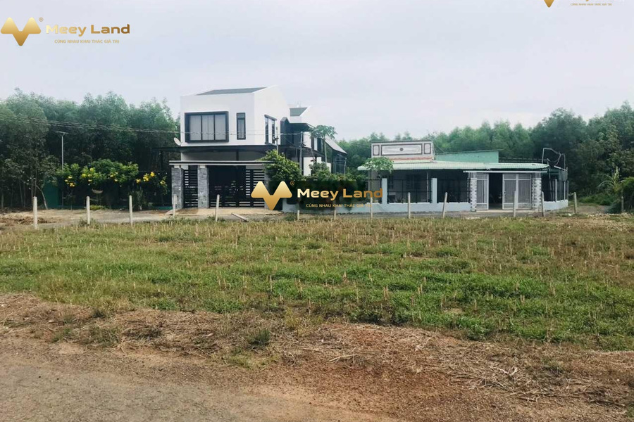 Vị trí thuận lợi ngay tại Nguyễn Huệ, Đất Đỏ bán đất, giá bán mềm từ 2.8 tỷ diện tích rất rộng 502m2-01