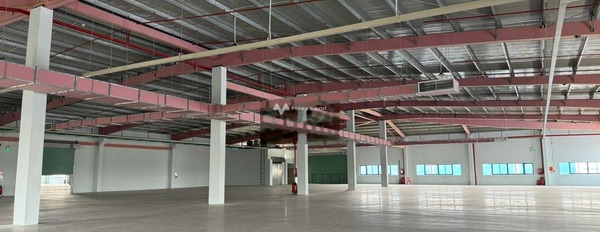 Cho thuê kho xưởng 6.315m2 trong KCN Xuyên Á,Long An xưởng mới,giá tốt -02