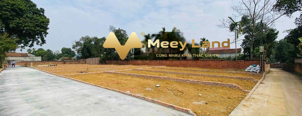 Chính chủ tôi bán đất Xã Phú Cát, Huyện Quốc Oai giá mua liền chỉ 1.04 tỷ có dt chung 65 m2-03