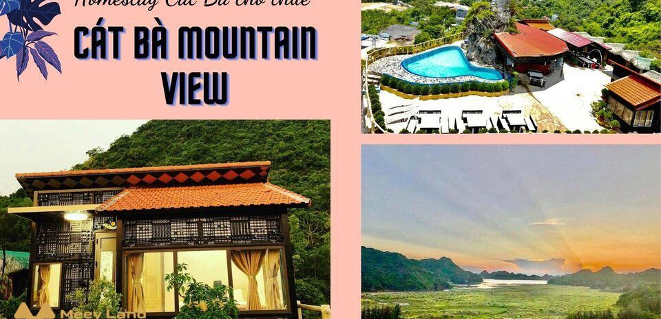 Cho thuê Cát Bà Mountain View – Homestay có bể bơi trên núi cao