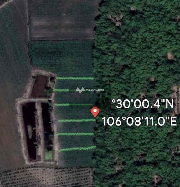 Mặt tiền tọa lạc trên Tân Châu, Tây Ninh bán đất, giá bán hợp lý 650 triệu có diện tích chuẩn 1000m2-01