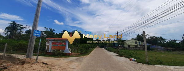Bán đất diện tích rộng rãi 120m2 tọa lạc ở thị xã Điện Bàn, tỉnh Quảng Nam-02