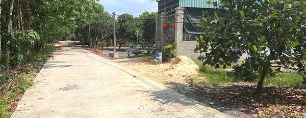 Đất xây trọ ngay khu công nghiệp Minh Hưng 750m2, thổ cư 100m2-02
