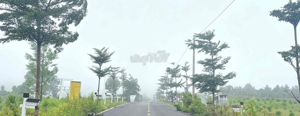 Lộc Tân, Bảo Lâm 3 triệu/tháng cho thuê đất , hướng Đông Nam có diện tích thực 200m2-02
