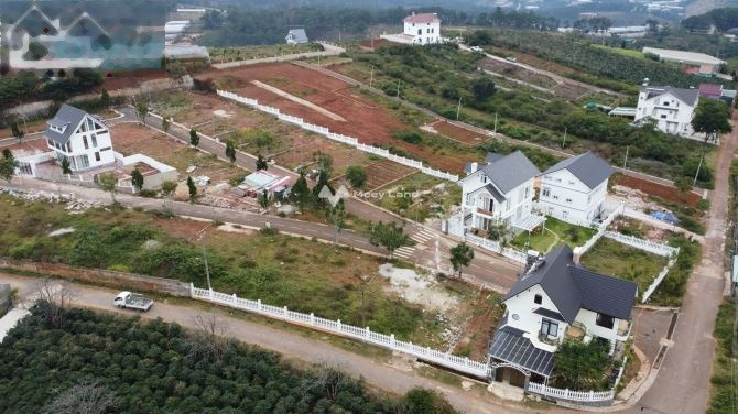 Vị trí đặt tọa lạc ngay tại Phường 7, Lâm Đồng bán đất giá cực rẻ chỉ 7.2 tỷ Có tổng diện tích 215m2, lộ trước nhà 10 m-01