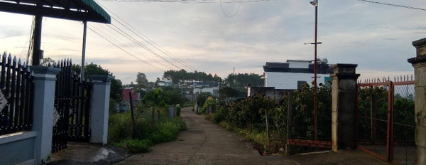 Bán đât khu dân cư sau ủy ban xã và chợ Ninh Gia 903m2, giá 2 tỷ-02