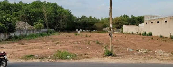 Xã Phú An, Thị Xã Bến Cát bán đất giá thương lượng chỉ 45 tỷ với dt 6446m2-03