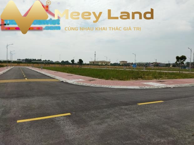 Vị trí đặt ngay ở Đường Số, Hưng Yên bán đất giá cơ bản 1.6 tỷ Diện tích nền 93 m2-01