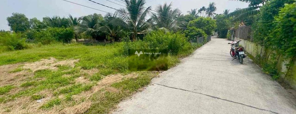 Bán đất 1.25 tỷ Long Định, Long An diện tích tiêu chuẩn 300m2-03