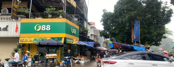 Chính chủ bán đất không qua môi giới, Yên Nhân, Tiền Phong, Mê Linh, Hà Nội, 87,9m2-03