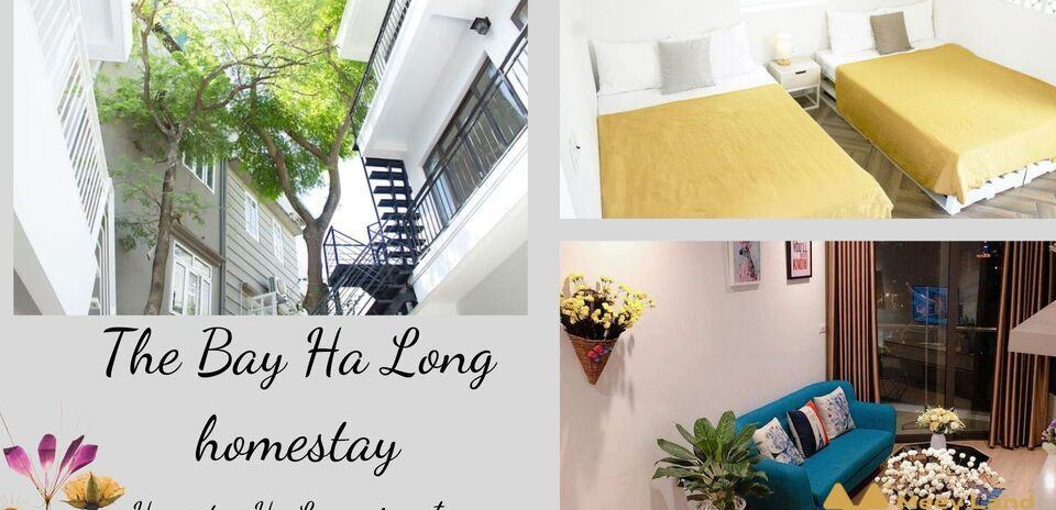 Cho thuê The Bay Ha Long homestay