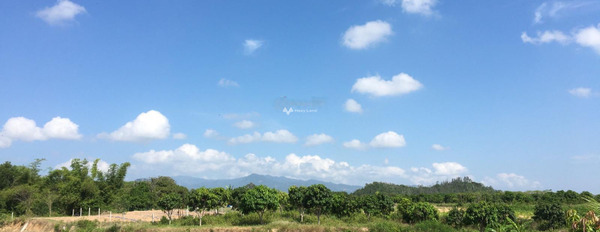 Vị trí tốt ở Lê Thánh Tông, Khánh Hòa bán đất giá siêu khủng chỉ 3.94 tỷ với diện tích tiêu chuẩn 6500m2-03