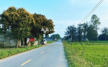 Bán đất 960 triệu Nghi Lộc, Nghệ An có diện tích khoảng 100m2-03