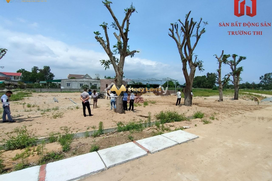 Ở Xuân Thành, Nghi Xuân bán đất có diện tích 200 m2-01