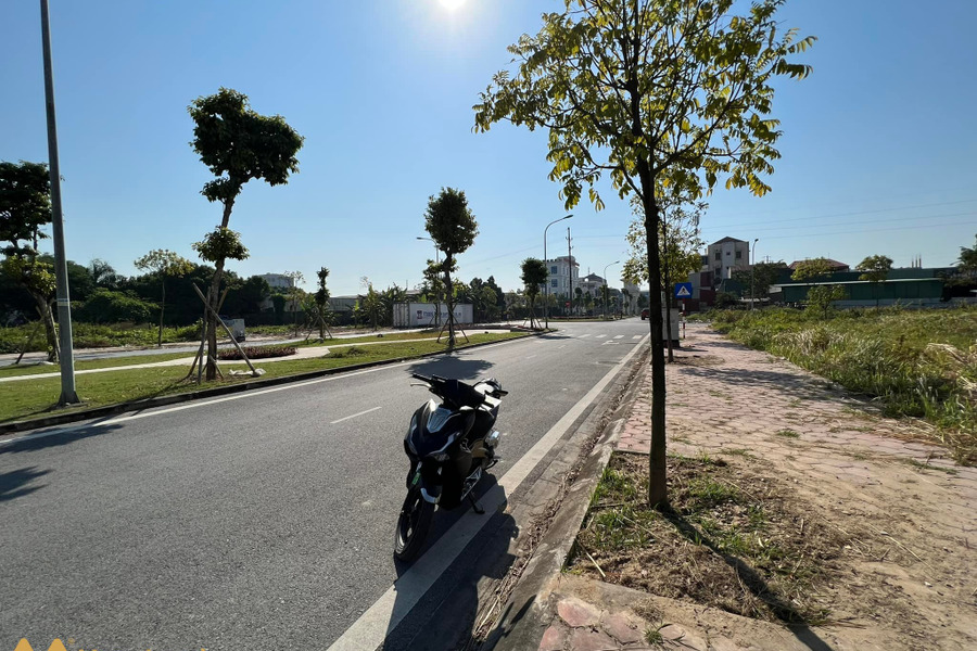 Bán đất đường đôi khu dân cư Nguyễn Lương Bằng, thành phố Hải Dương, 76,5m2, mặt tiền 4,5m, đường đôi 32m, vị trí đẹp-01