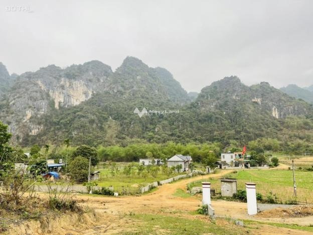 Cần bán đất vị trí đẹp tọa lạc ở Nuông Dăm, Kim Bôi. Diện tích 166005m2-01
