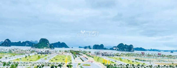 Nằm trên Tràng Hương, Vân Đồn bán đất giá cạnh tranh chỉ 1 tỷ có diện tích 720m2-03