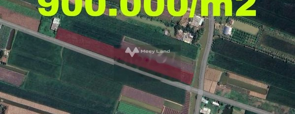 Cần ra đi gấp bán mảnh đất, 5850m2 giá bán cực sốc chỉ 5.26 tỷ vị trí đẹp Tân Điền, Tiền Giang giá cực mềm-02