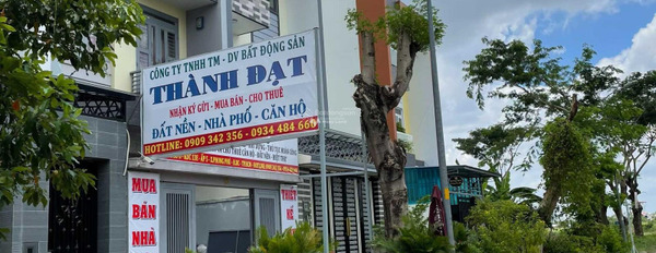 Bán đất diện tích 100m2 tại Nguyễn Văn Linh, Bình Chánh-02