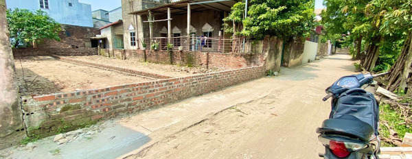 Chính chủ gửi bán lô đất siêu hiếm bìa làng 69m² tại xóm Ngõ Thôn Khê Nữ, Nguyên Khê, Đông Anh, Hà Nội-02