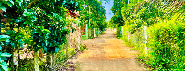 Bán vườn sầu riêng ven suối, đất phủ hồng, cách đường nhựa liên xã Xuân Định chỉ 50m tại Đồng Nai-02