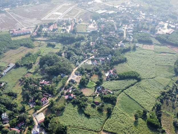 Hồ Chí Minh, Thạch Thành bán đất giá đặc biệt 221 triệu có diện tích quy ước 150m2-01