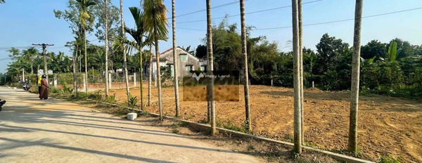 Giá bán khuyến mãi chỉ 495 triệu bán đất diện tích như sau 125m2 vị trí tiện lợi ngay tại Nam Phước, Duy Xuyên-03