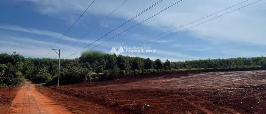 Ở Lộc Ninh, Bình Phước bán đất 145 triệu diện tích thực khoảng 275m2-02