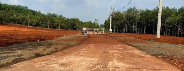 Diện tích là 1250m2 bán đất giá bán thương mại từ 400 triệu-03